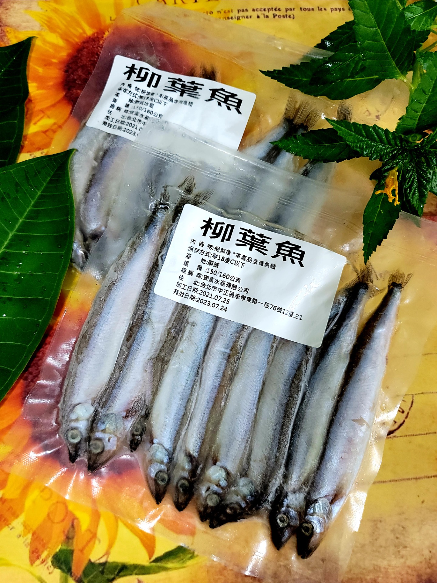 挪威柳葉魚