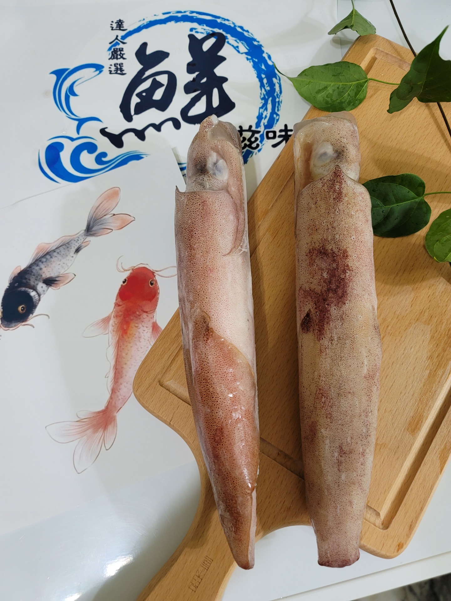 中卷