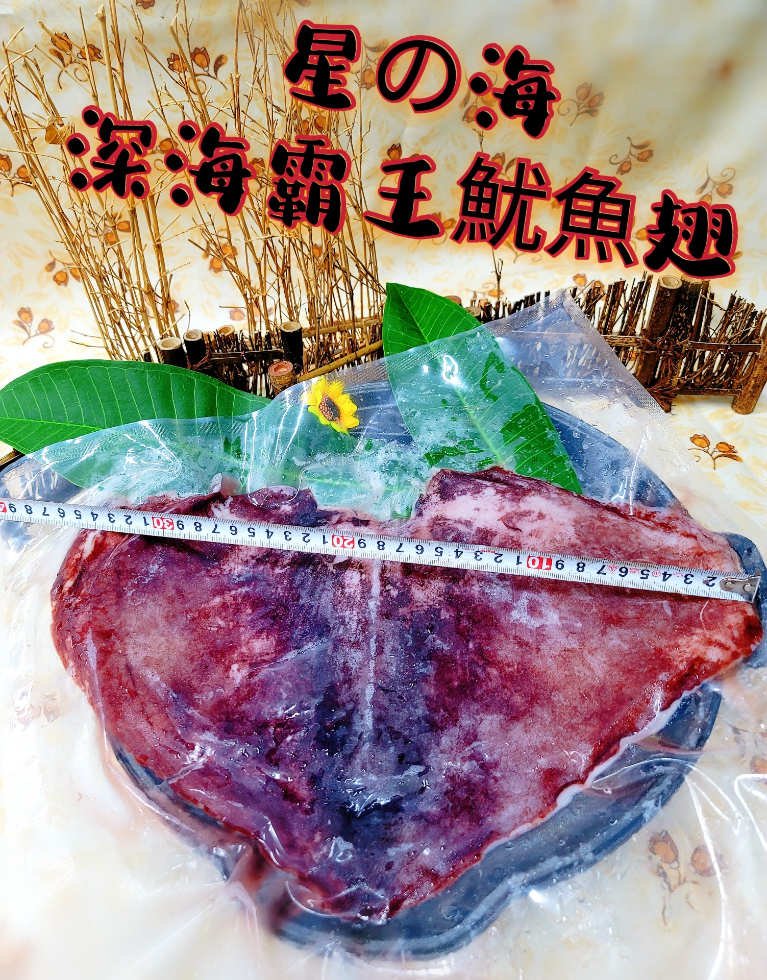 深海霸王魷魚翅